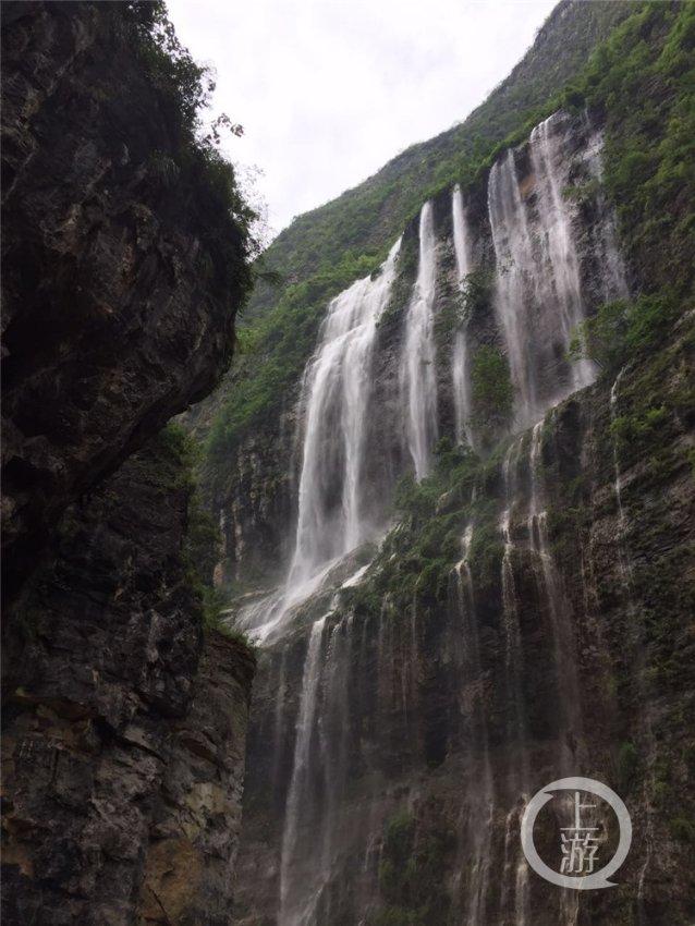 救援小绿龙